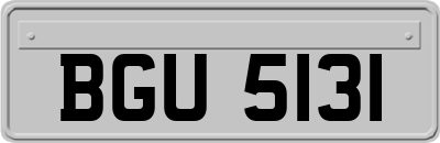 BGU5131