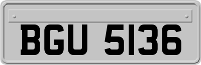 BGU5136