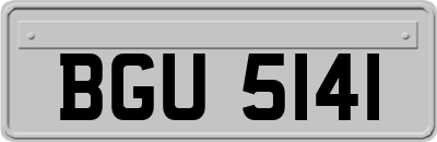 BGU5141