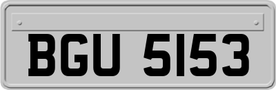 BGU5153