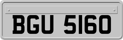 BGU5160