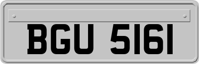 BGU5161