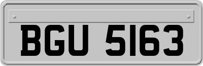 BGU5163