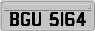 BGU5164