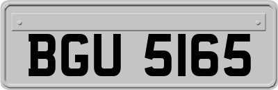 BGU5165