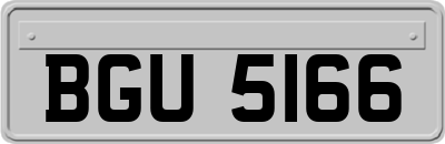 BGU5166
