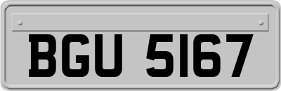 BGU5167