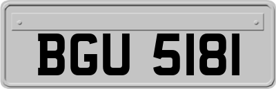 BGU5181