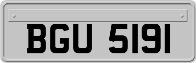 BGU5191