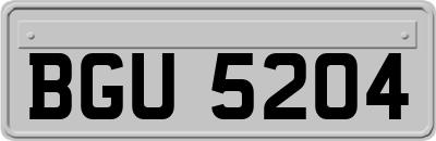 BGU5204