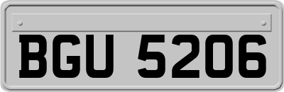 BGU5206