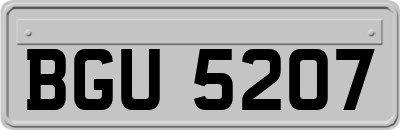 BGU5207