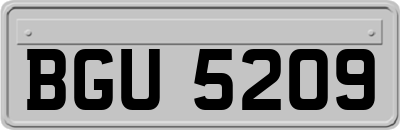 BGU5209