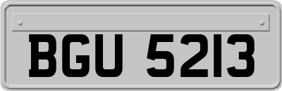 BGU5213