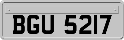 BGU5217