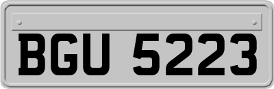 BGU5223