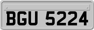 BGU5224
