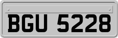 BGU5228