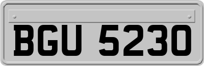 BGU5230