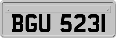 BGU5231