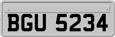 BGU5234