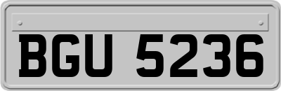 BGU5236
