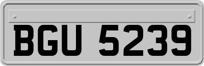 BGU5239