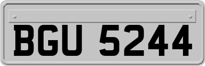 BGU5244