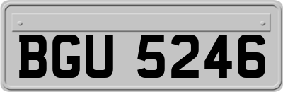 BGU5246