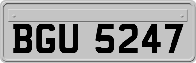 BGU5247