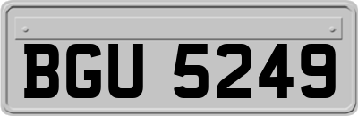 BGU5249