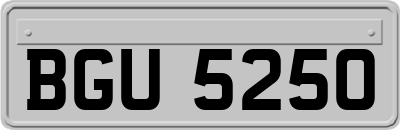 BGU5250