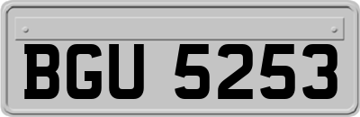 BGU5253