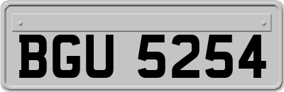 BGU5254