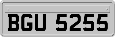 BGU5255