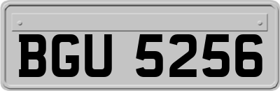 BGU5256