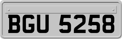 BGU5258