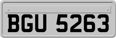 BGU5263