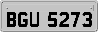 BGU5273