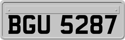 BGU5287
