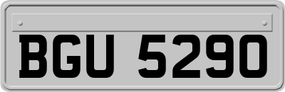 BGU5290