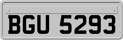 BGU5293