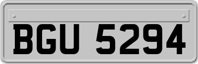 BGU5294