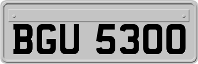 BGU5300
