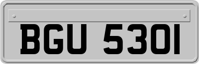 BGU5301