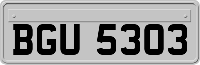 BGU5303