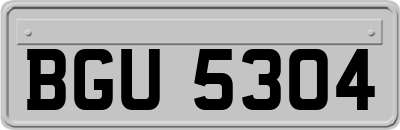 BGU5304