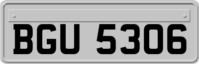 BGU5306