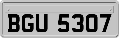 BGU5307