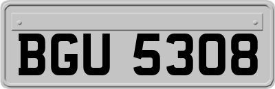 BGU5308